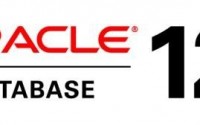 公司开发有ORACLE数据库恢复程序